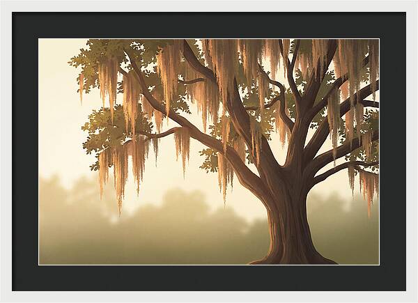 Live Oak Draped In Spanish Moss