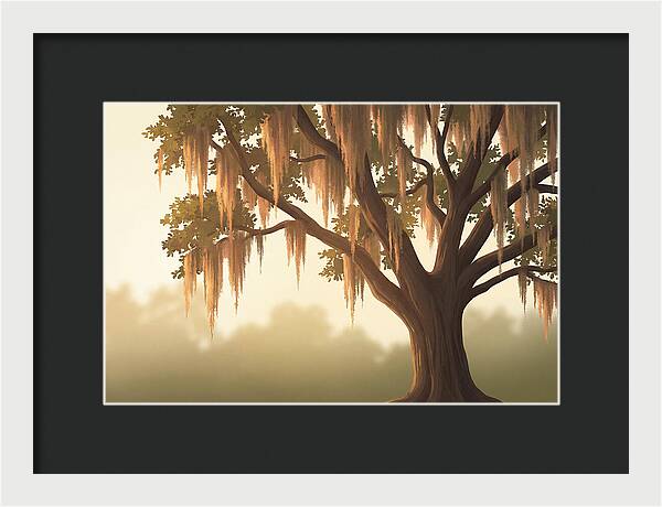 Live Oak Draped In Spanish Moss