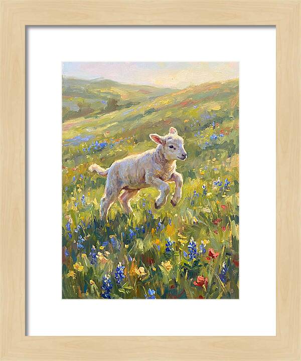 Lively Lamb In Blooming Meadow