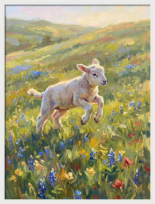 Lively Lamb In Blooming Meadow