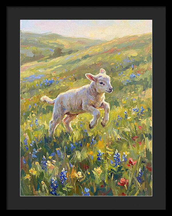 Lively Lamb In Blooming Meadow