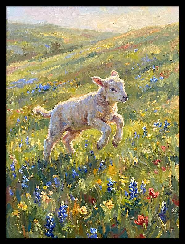 Lively Lamb In Blooming Meadow
