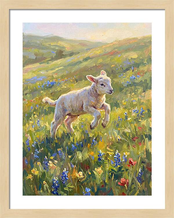 Lively Lamb In Blooming Meadow