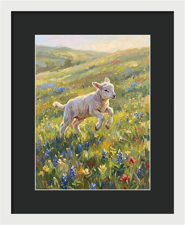 Lively Lamb In Blooming Meadow