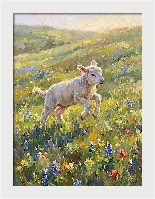 Lively Lamb In Blooming Meadow