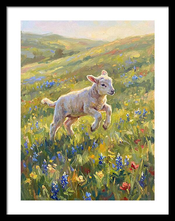 Lively Lamb In Blooming Meadow