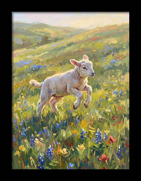 Lively Lamb In Blooming Meadow