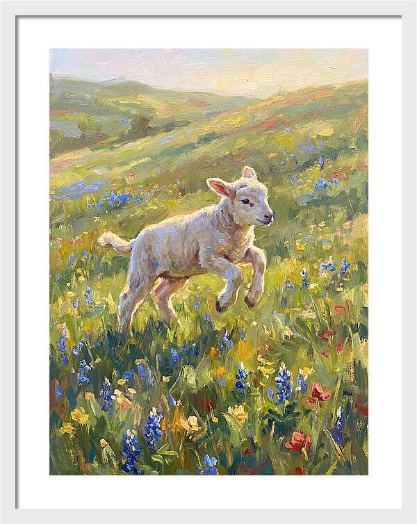 Lively Lamb In Blooming Meadow