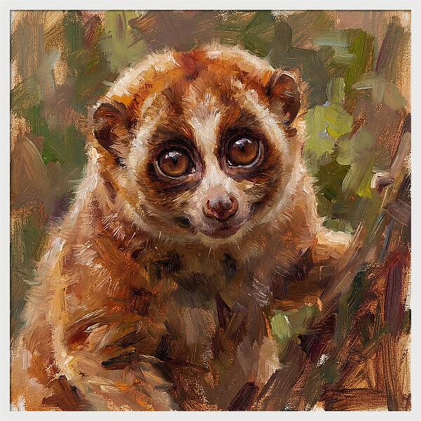 Lively Loris Portrait