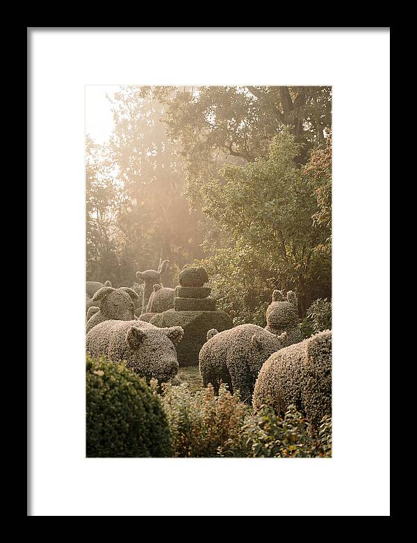 Living Topiary Animals In Misty Garden