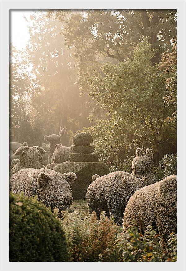 Living Topiary Animals In Misty Garden