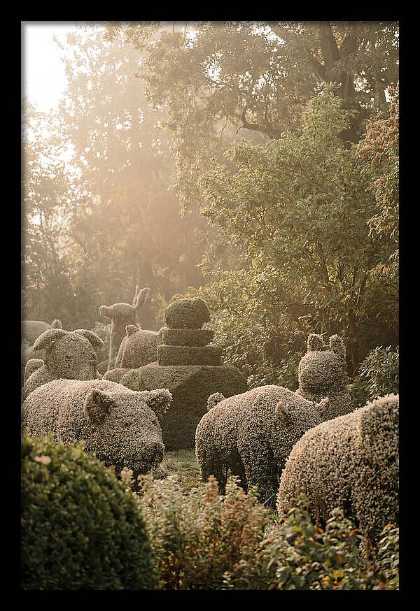 Living Topiary Animals In Misty Garden