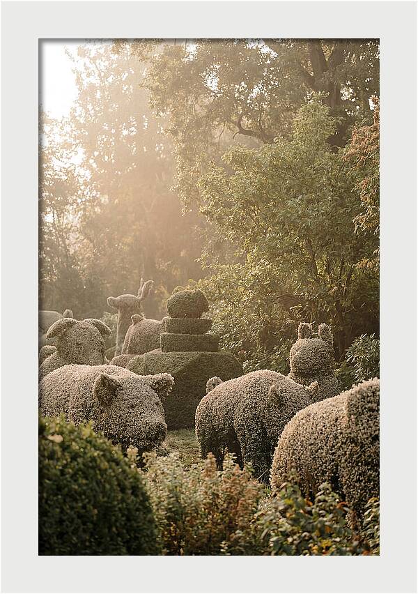Living Topiary Animals In Misty Garden