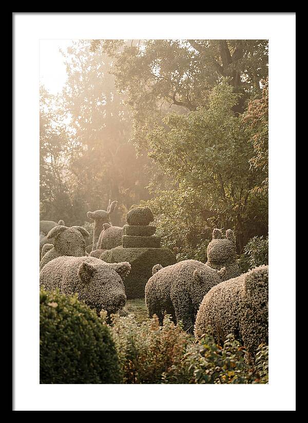 Living Topiary Animals In Misty Garden