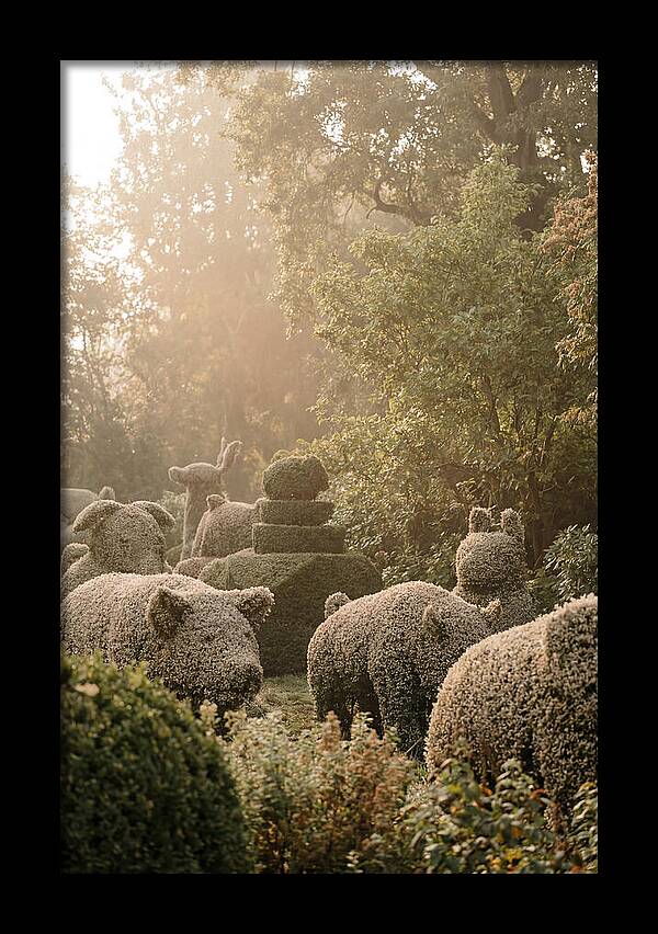 Living Topiary Animals In Misty Garden