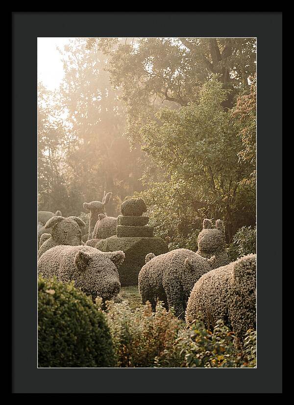 Living Topiary Animals In Misty Garden