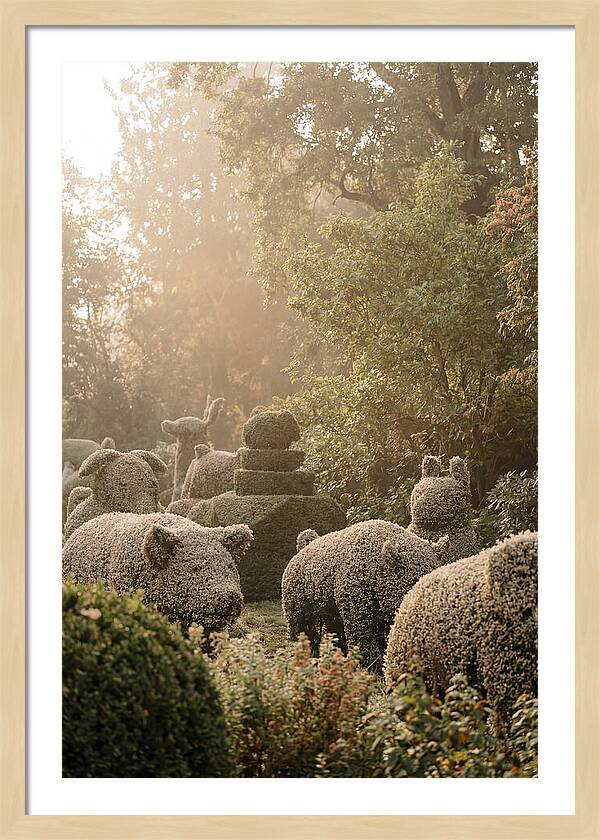 Living Topiary Animals In Misty Garden