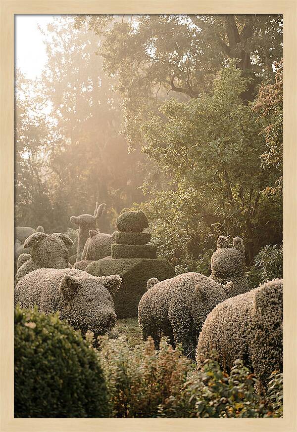 Living Topiary Animals In Misty Garden
