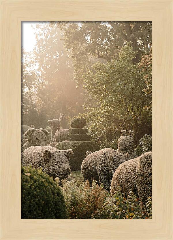 Living Topiary Animals In Misty Garden