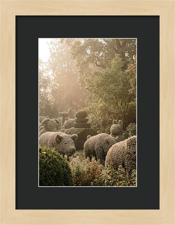 Living Topiary Animals In Misty Garden