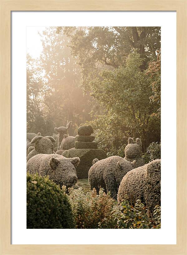 Living Topiary Animals In Misty Garden