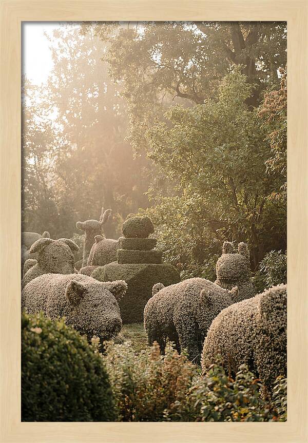 Living Topiary Animals In Misty Garden