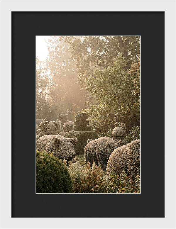 Living Topiary Animals In Misty Garden