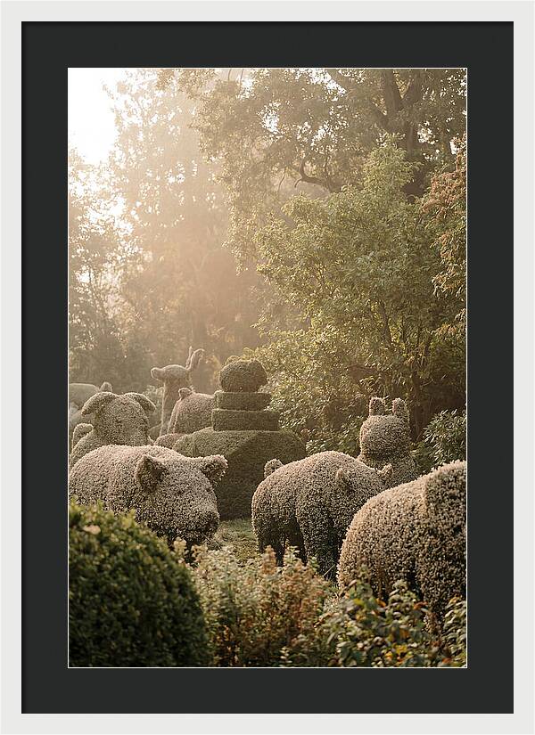 Living Topiary Animals In Misty Garden