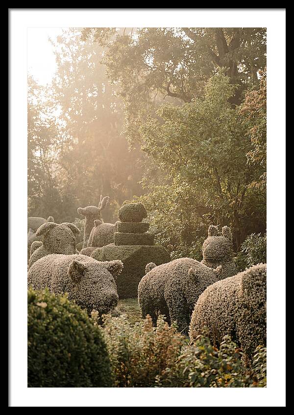 Living Topiary Animals In Misty Garden