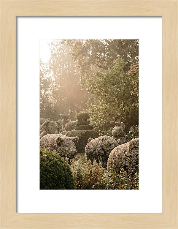 Living Topiary Animals In Misty Garden