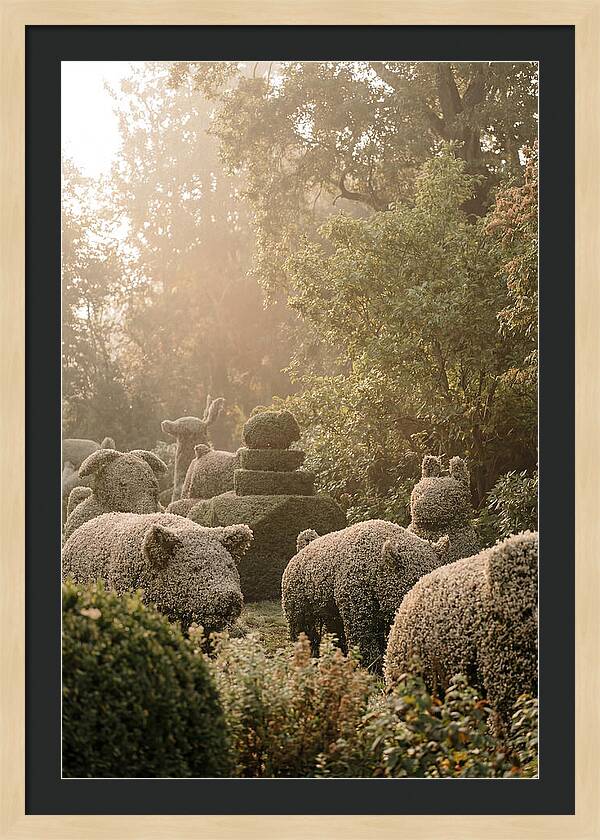 Living Topiary Animals In Misty Garden