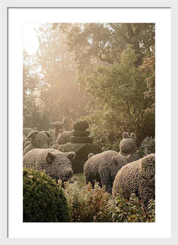 Living Topiary Animals In Misty Garden