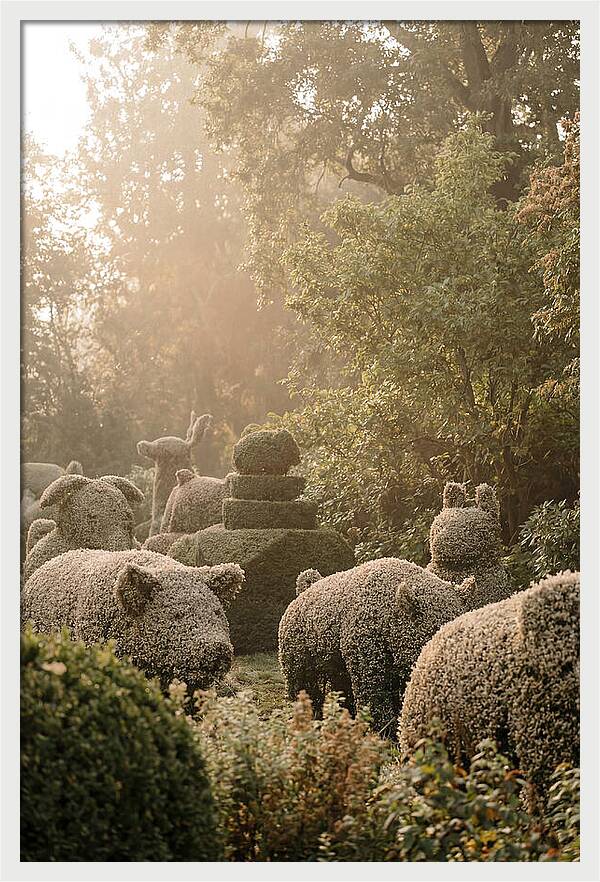 Living Topiary Animals In Misty Garden