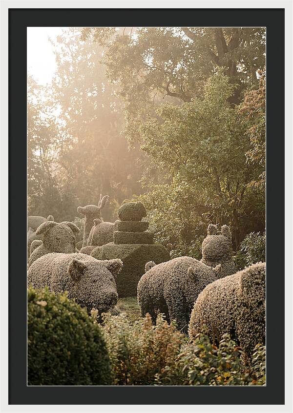 Living Topiary Animals In Misty Garden