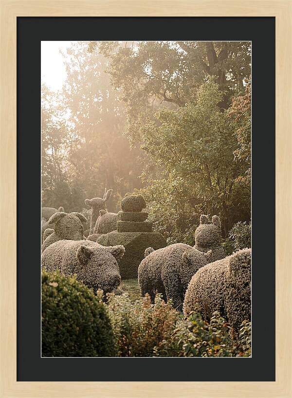 Living Topiary Animals In Misty Garden