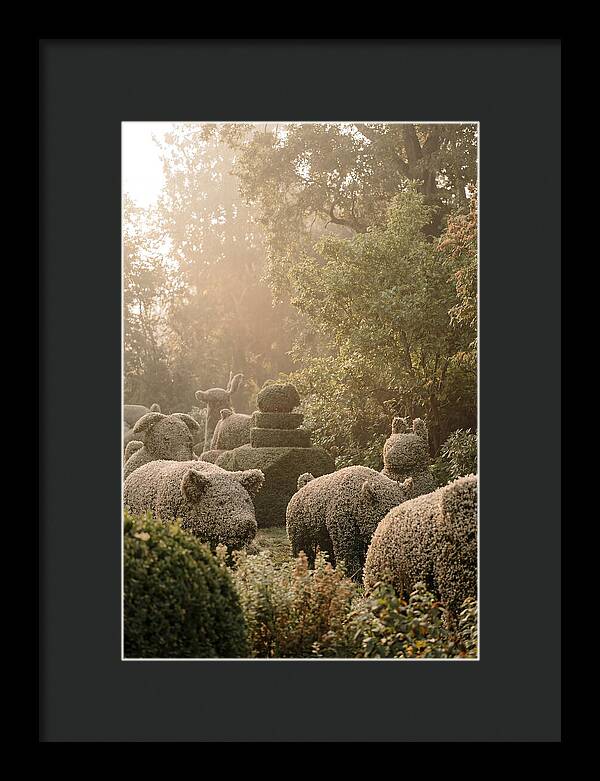 Living Topiary Animals In Misty Garden