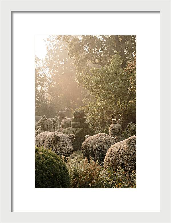 Living Topiary Animals In Misty Garden