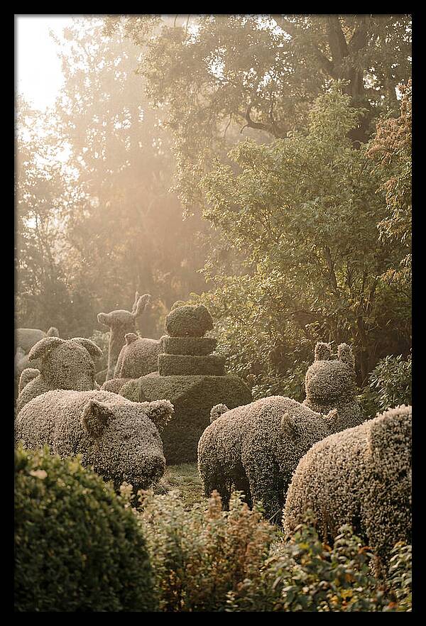 Living Topiary Animals In Misty Garden