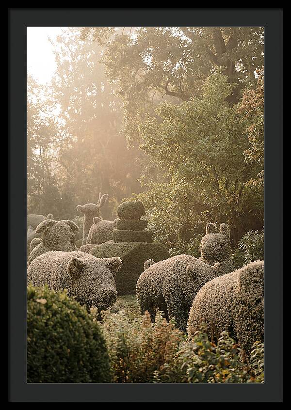 Living Topiary Animals In Misty Garden