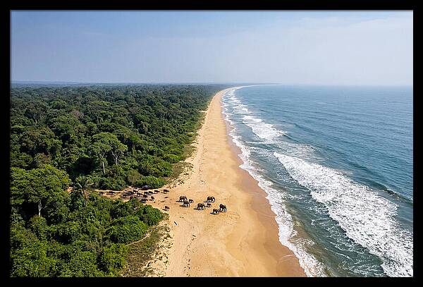 Loango Coastline From Above
