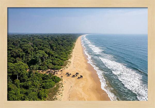 Loango Coastline From Above