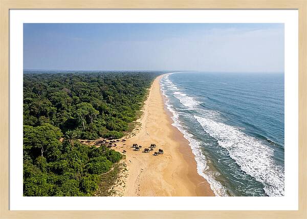 Loango Coastline From Above