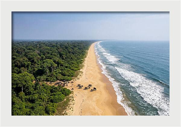 Loango Coastline From Above