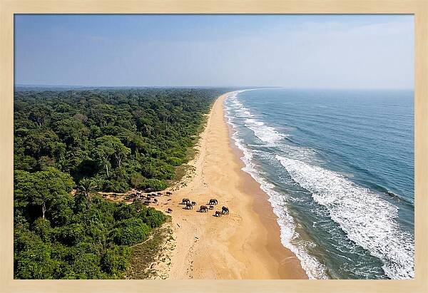 Loango Coastline From Above