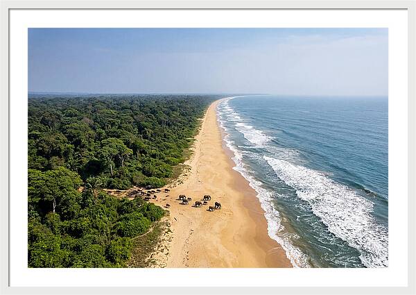 Loango Coastline From Above