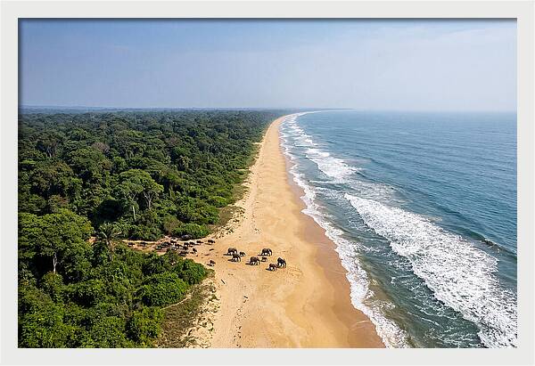 Loango Coastline From Above