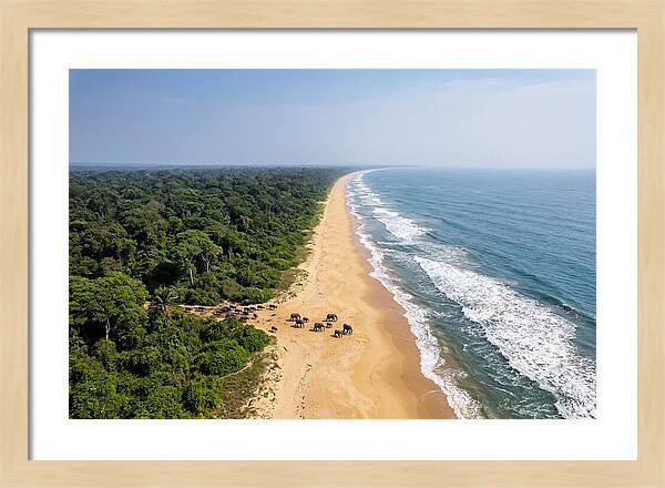 Loango Coastline From Above