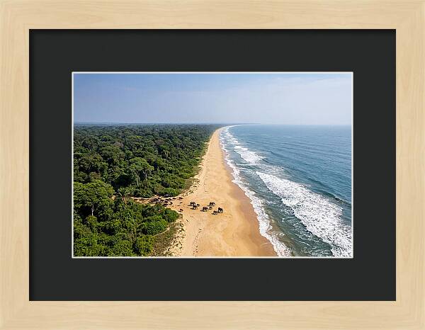 Loango Coastline From Above