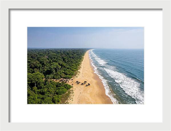 Loango Coastline From Above