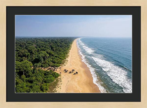 Loango Coastline From Above